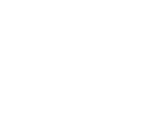 Roli Enterprises